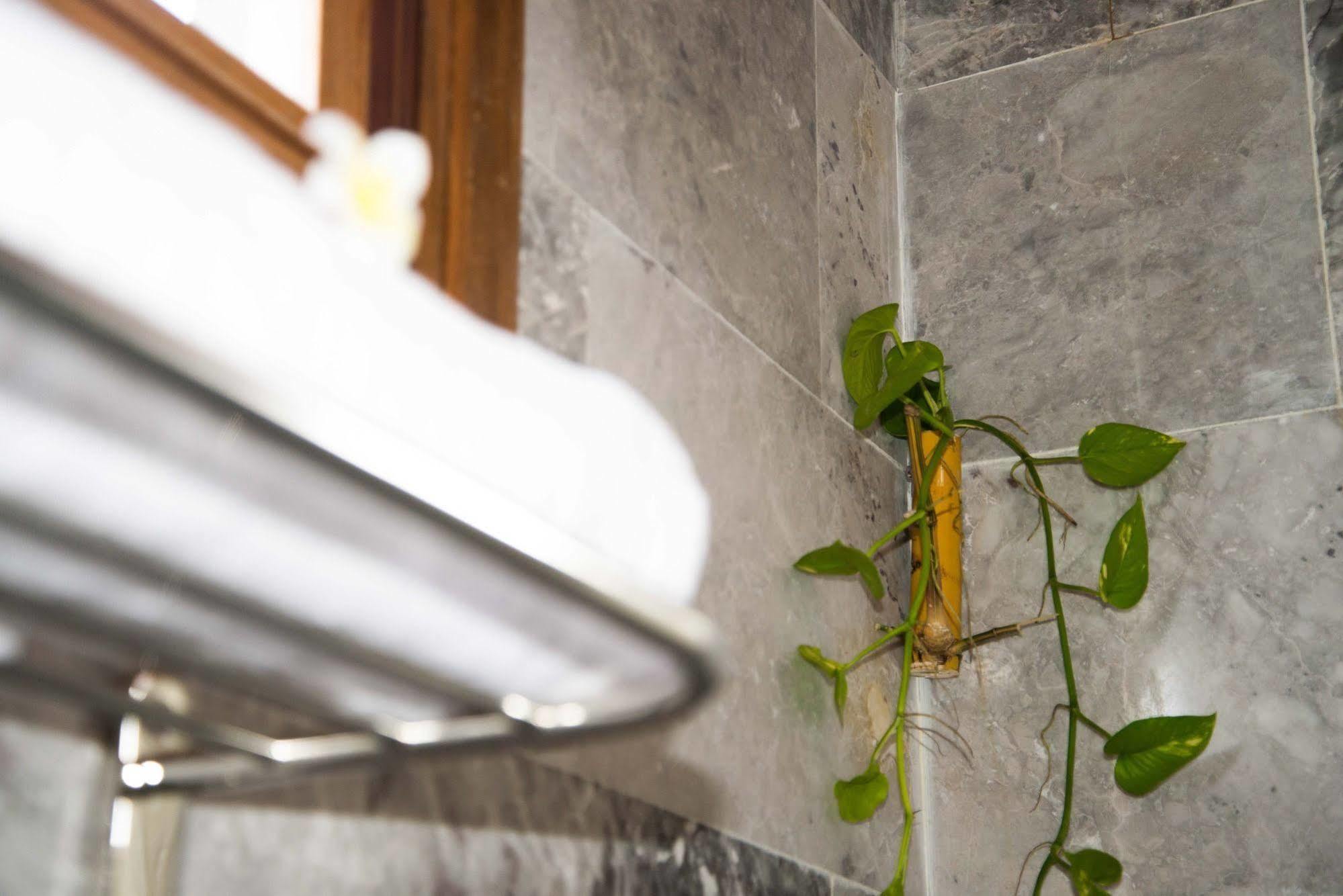 Ruby Hotel Χόι Αν Εξωτερικό φωτογραφία